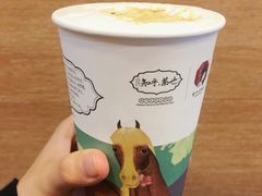 -茶颜悦色(长郡步行街口店)