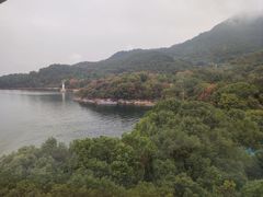 -逸廊大堂吧-下午茶·简餐-千岛湖自由洲际殿