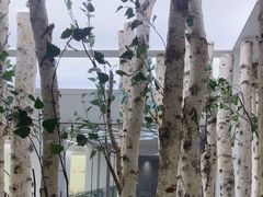 -极简口腔(总院)