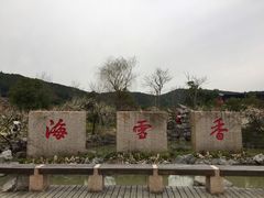 -香雪海