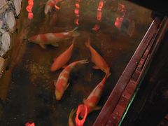 -鱼满舱·鲜活海鲜·正宗鲁菜