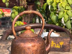 -青城甲(青城山店)