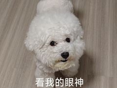 -联合动物医院(光谷诊疗中心)
