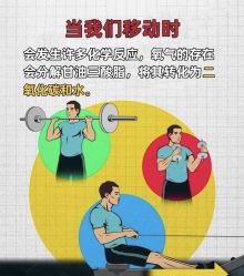 -Fundi张玉珊修身堂·indiba·BTL科技瘦身