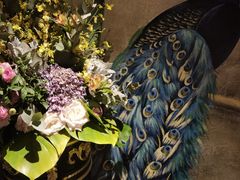 -弦月窗LUNETTE BY AMANDA(复兴路店)