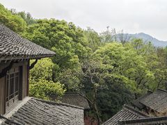 -中国茶叶博物馆(双峰馆区)