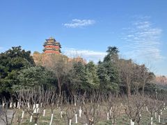 -阅江楼风景区