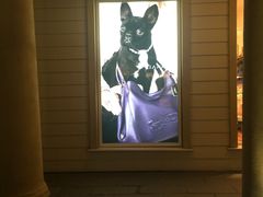 -COACH蔻驰(赛特奥特莱斯店)