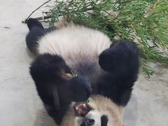 -杭州动物园