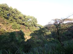 -广州市帽峰山景区
