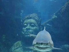 -暹罗海洋世界
