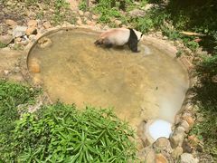 -黔灵山公园