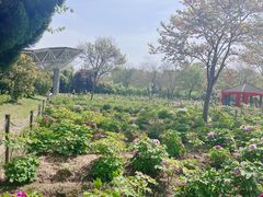 -合肥三国新城遗址公园