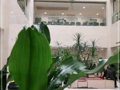 -上海交通大学医学院附属瑞金医院(总院)