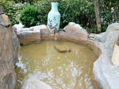 -金孔雀温泉旅游度假村