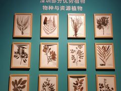-深圳博物馆历史民俗馆