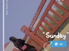 -高东镇樱花园