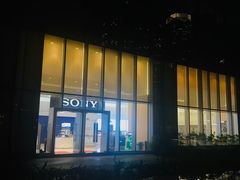 -Sony Store索尼(广州正佳店)