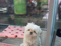 -FAELING PETS美天灵宠物(合生汇店)