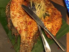 -云海肴·汽锅鸡·云南代表菜(天山百盛优客店)