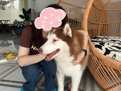 -星多哈·狗咖·拼豆·咖啡