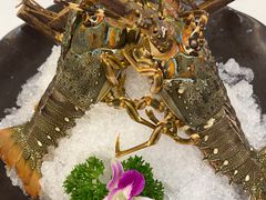 -帝皇海海鲜豆捞(桐泾商务广场店)