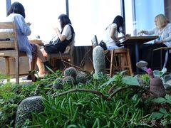 -Cafe Aewol Monsant