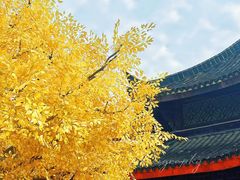 -广东圆玄道观