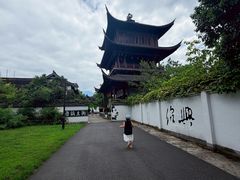 -鲁镇