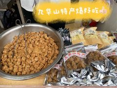 -九华山风景区