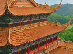 -东莞市大岭山森林公园