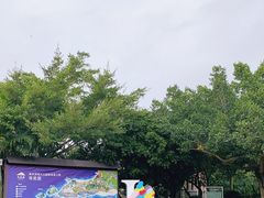 -漳州滨海火山岛自然生态风景区