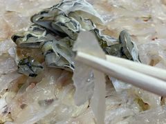 鱼生-成发鱼生