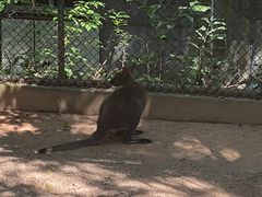 -广东茂名森林公园