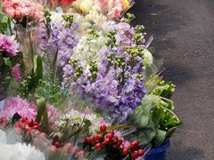 -循礼门鲜花花市(武汉循礼门店)