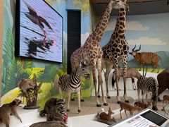 -陕西自然博物馆