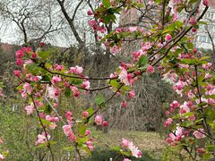 -元大都城垣遗址公园