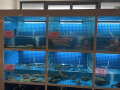 -走马楼饭庄(慈城古县城店)
