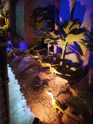 -恐龙探索乐园(磁器口店)