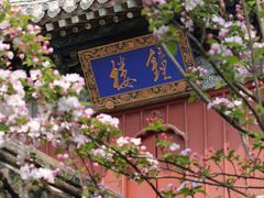 -潭柘寺景区