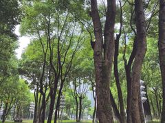 -重庆市江北嘴中央商务区中央公园