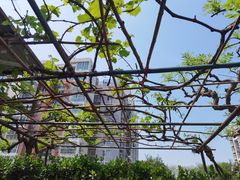 -新月斋(豆瓣胡同店)