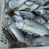 不用去超市菜场人流密集处 太感人了 感恩