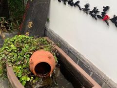 -慢丽江·云南野生菌土鸡锅(付家庄店)