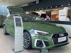 -广州南菱奥申奥迪4S店(白云店)