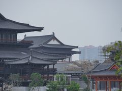 -海珠湖公园
