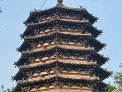 -真定郝家排骨(大十字街店)