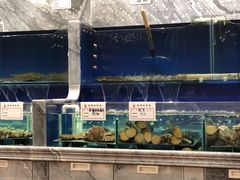 -北李妈妈菜·海肠捞饭(高新万达店)
