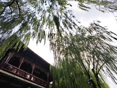 -环城公园
