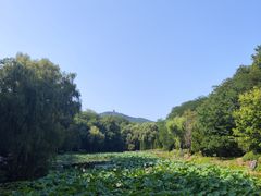 -棒棰岛宾馆景区